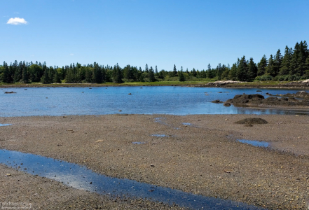 Тихая заводь на полуострове Скудик.
