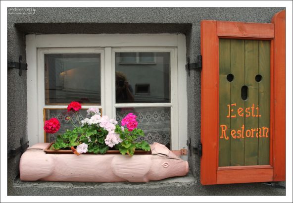 Балконное кашпо в виде хрюнделя.