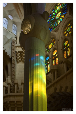 Колонны, поддерживающие свод Саграды Фамилии, уходят в глубину под землю на 20 метров.