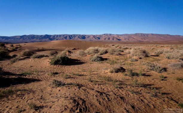 Дюны у подножия Анти-Атласа. Дорога из города Agdz.