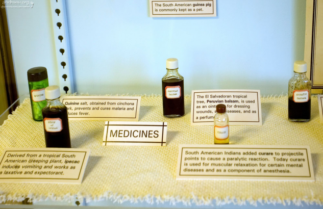 Древние лекарственные средства в музее Chapin Mesa Museum.