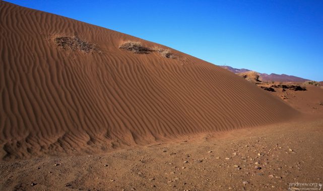 Одна из многочисленных дюн вдоль дороги через Анти-Атлас.