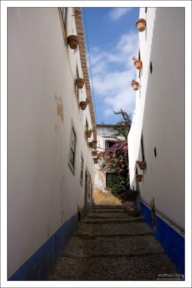 Каждому окну - по своему горшку.