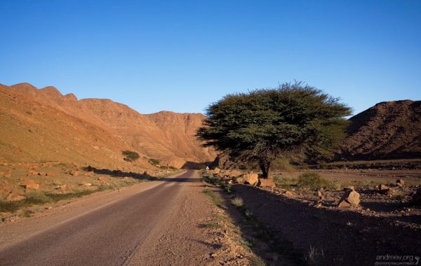 Дорога через горную систему Djebel Anaour. Анти-Атлас.