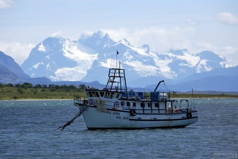 "Мама Дина".