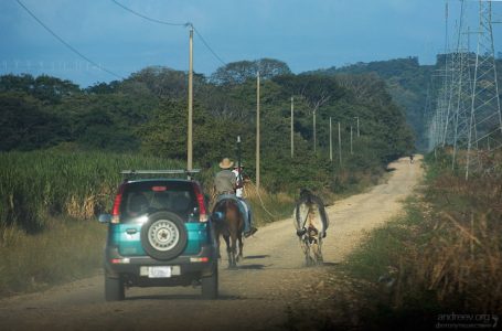 Гравийная дорога в парк Пало Верде.