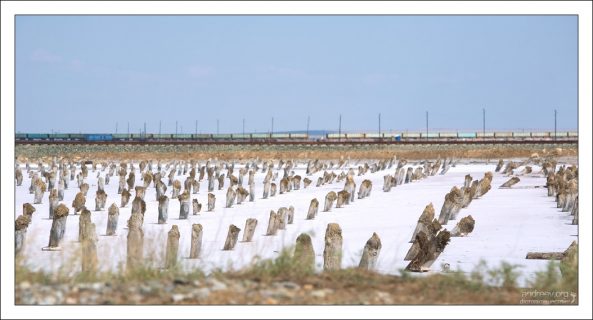 Впервые озеро Баскунчак официально упоминается в 17-м веке, в «Книге Большого Чертежа».