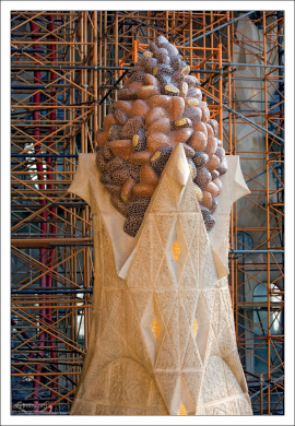 Кофейные зерна.