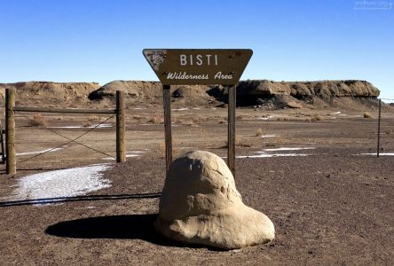 Добро пожаловать на пустошь Бисти!