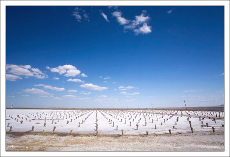 Соленое озеро Баскунчак и расположившаяся рядом гора Большое Богдо, входят в состав уникального природного комплекса.