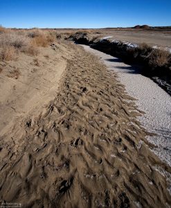 Пересохшее русло небольшого ручья.