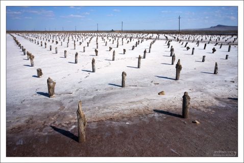 Точки кристаллизации соли в озере Баскунчак отмечены специальными пеньками.