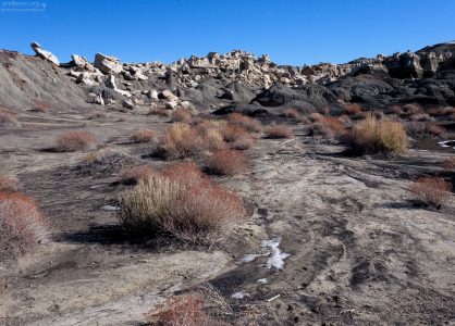 Креозотовые кусты на подходе к каньону.