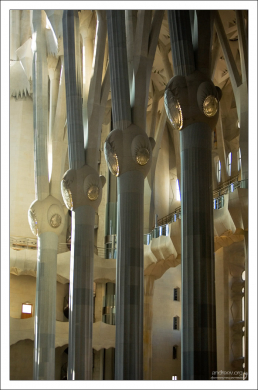 Каждая из колонн может выдержать семибальное землетрясение. Саграда Фамилия.