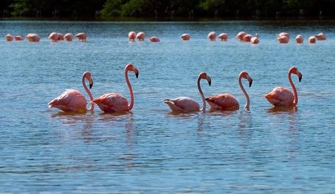 Аккуратная пятерка.