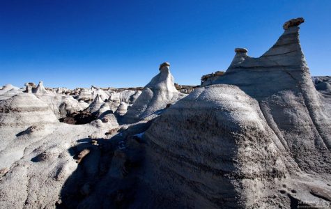 Окаменелости фантастических форм.