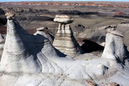 Выставка шляпок на ножках.
