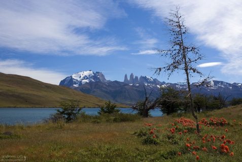 Лагуна Azul и три башни дель Пайне на заднем плане.