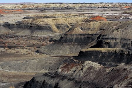 Растительности на пустоши практически нет ни зимой, ни летом.