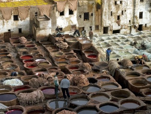 Кожевенный кооператив в центре медины.