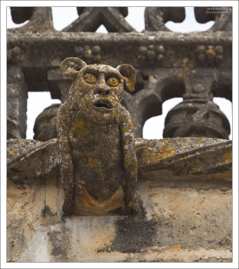 Горгулья aka Добби из Гарри Поттера :)