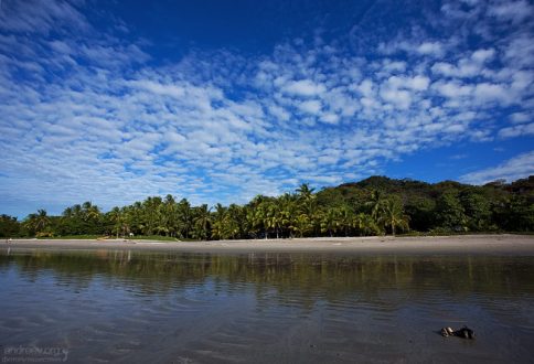 Отлив на пляже. Побережье Тихого океана, Samara.