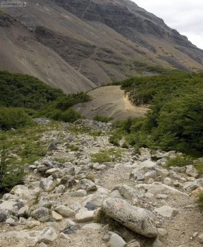 Отсюда до вершины ровно час ходьбы.