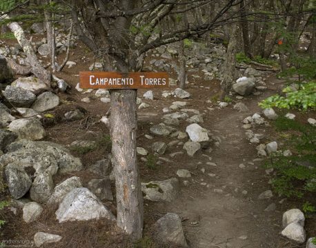 Кемпинг Torres в лесу.