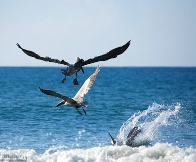 Втроем на рыбном месте.