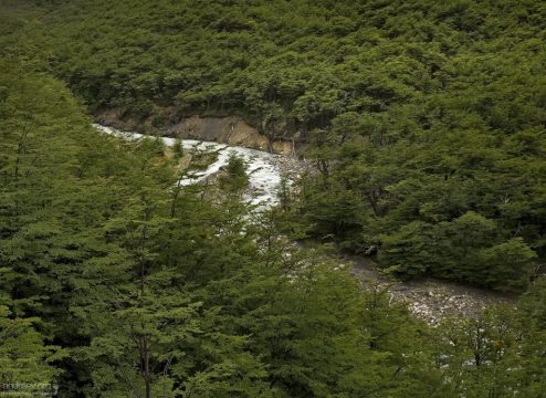 Серебристая река Ascencio.