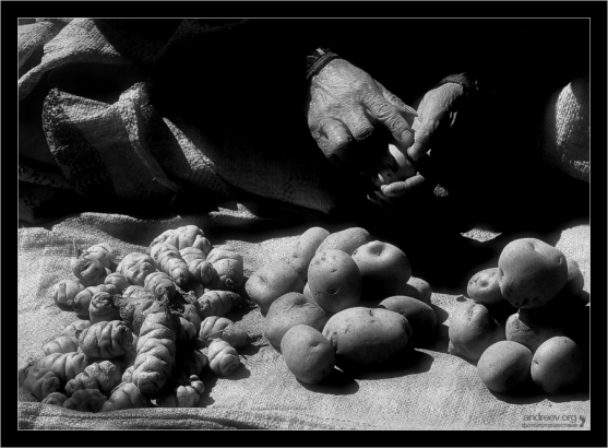 Картошка и кислица.