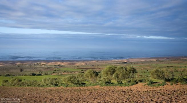 Атлантические дюны.