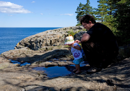 Исследование лужи :)