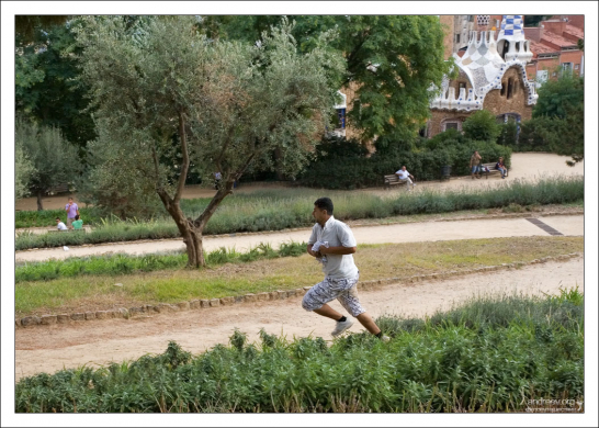 Вор с добычей. Парк Гуэля.