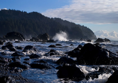 Бухта False Klamath Cove.
