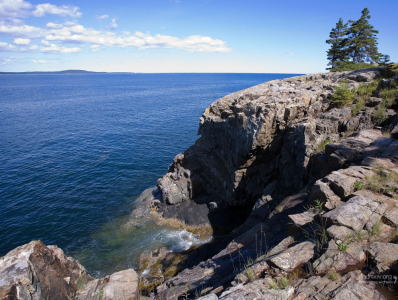 Скалистый берег в районе Thunder Hole в Acadia NP.