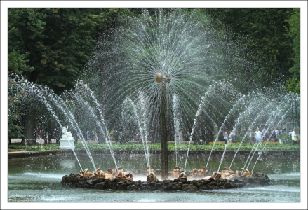 Фонтан "Солнышко" в окружении золотых рыб. Петергоф.