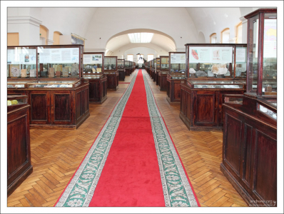 Геологический музей в Научно-исследовательском геологическом институте им. А. П. Карпинского.