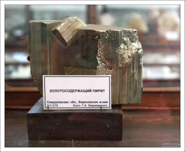 В золоторудных месторождениях золото часто связано с пиритом. НИИ им. А. П. Карпинского.