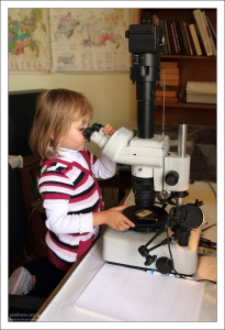 Саша за изучением образца. НИИ им. А. П. Карпинского.