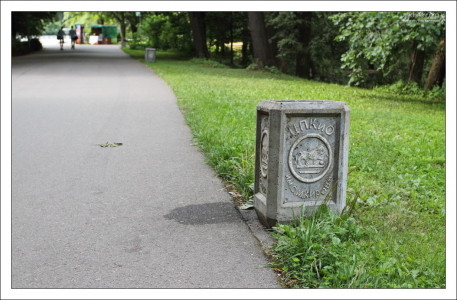 Центральная аллея на Елагином острове.