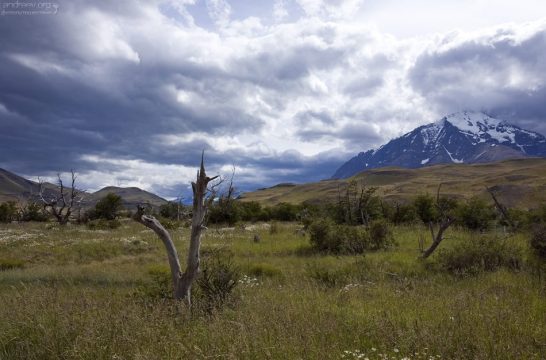 Типичный пейзаж для северной Патагонии.