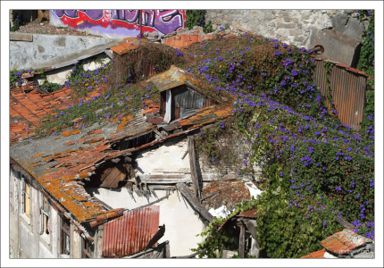 Дом под снос и цветочки.