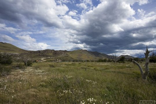 Ромашковое поле, горы и облака.