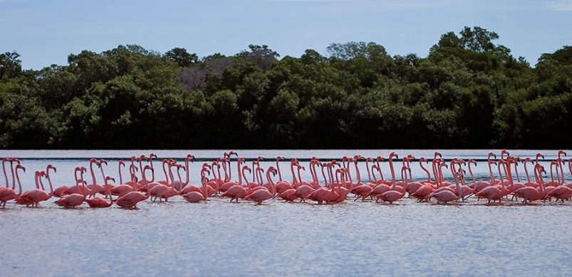 Очередь за колбасой.