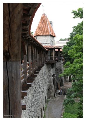 Кафе с видом на Старый город из Девичьей башни (Neitsitorn).