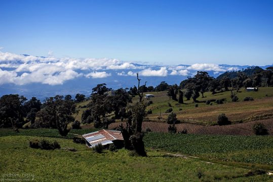Поля сельскохозяйственных культур на склонах вулкана Иразу.