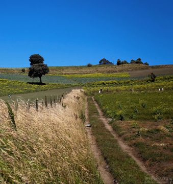 Сельскохозяйственные работы на нижних склонах вулкана Иразу.