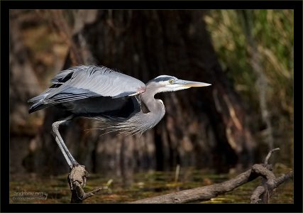 На низком старте.