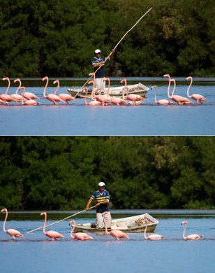 "Я сказал - в шеренгу по одному!"